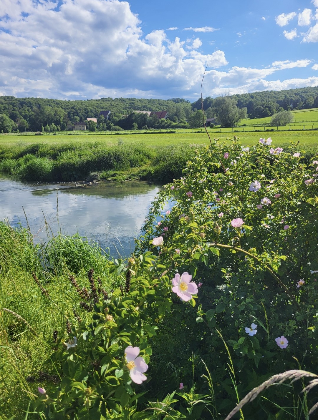 Brenz Bei Anhausen