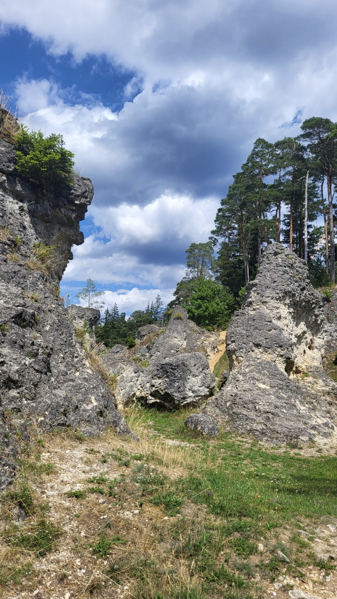 Felsenmeer Steinheim 1