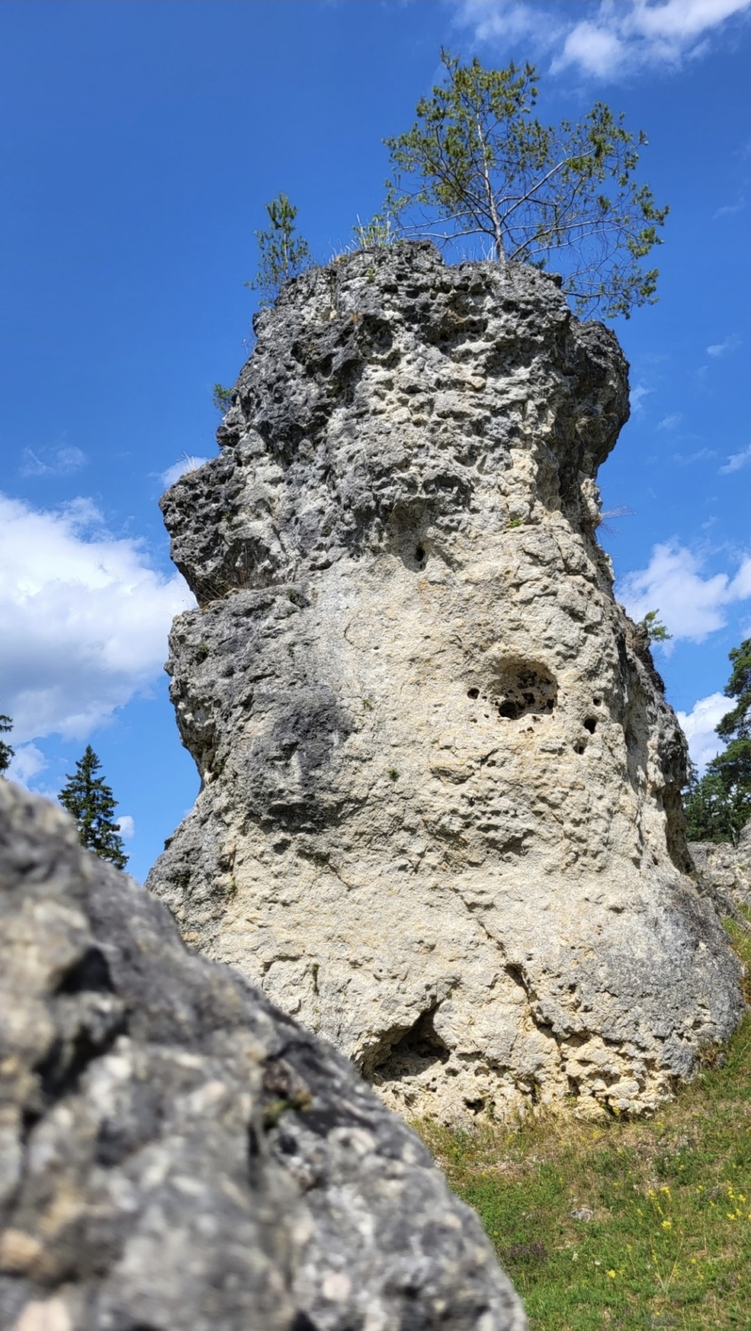 Felsenmeer Steinheim