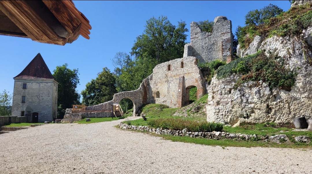 Kaltenburg Panorama