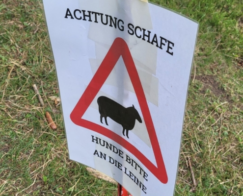Kaltenburg Vorsicht Schafe